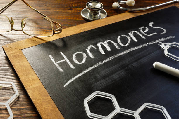 EHH Balancing Hormones for Weight Loss