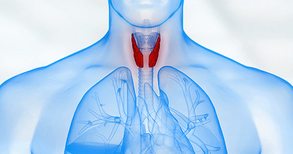 EHH Connection between Thyroid Health and Weight