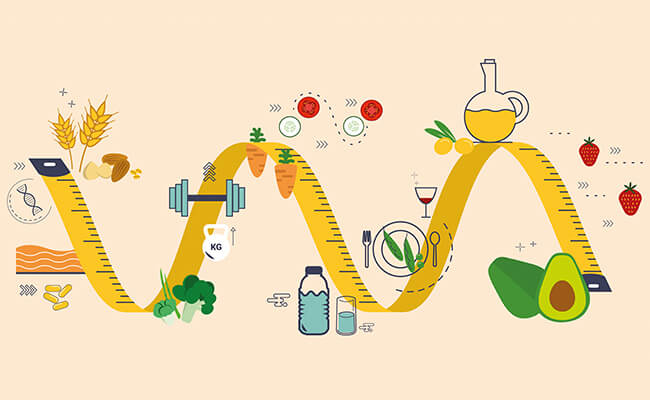 EHH Role of Metabolism in Weight Management