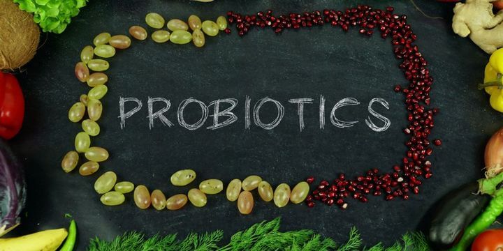 EHH Role of Probiotics in Gut Health