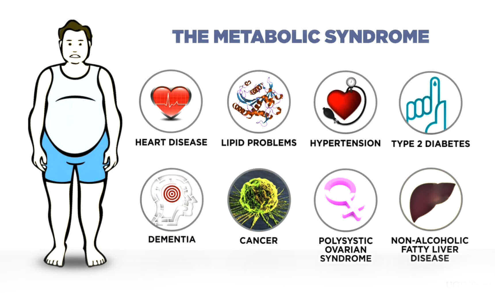 EHH Science of Metabolic Syndrome